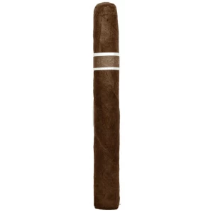 RoMa Craft CroMagnon Aquitaine Anthropology