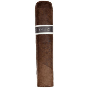 RoMa Craft Cromagnon PA Mandible