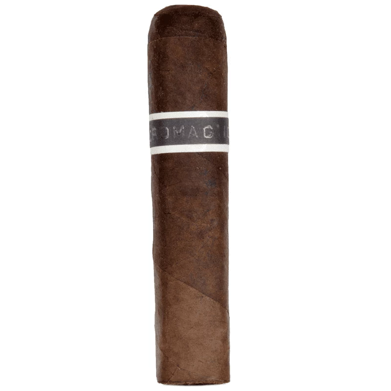 RoMa Craft Cromagnon PA Mandible