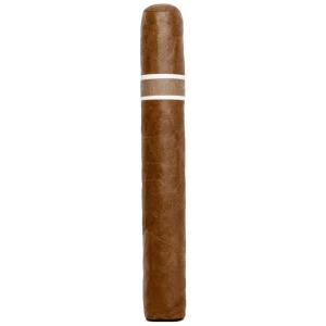 RoMa Craft CroMagnon Aquitaine Cranium