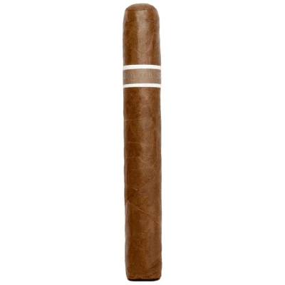 RoMa Craft CroMagnon Aquitaine Cranium