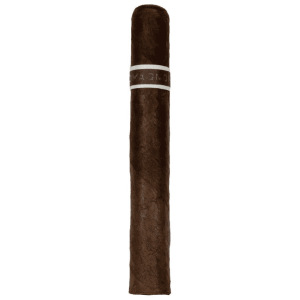 RoMa Craft CroMagnon PA Cranium