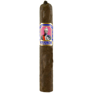 Foundation Aksum<br> Robusto Maduro