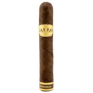  Sobremesa Short Churchill