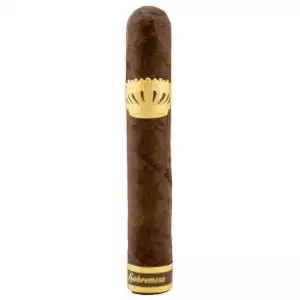  Sobremesa Short Churchill